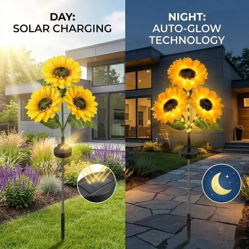 MySunflowers®