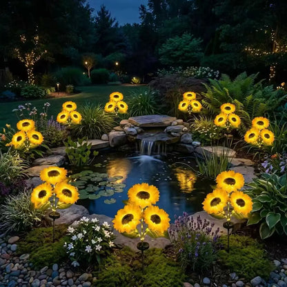 MySunflowers®