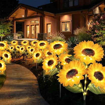 MySunflowers®